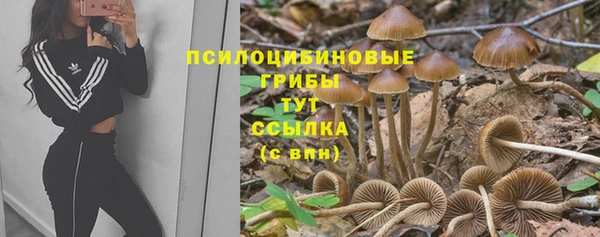 гидропоника Волосово