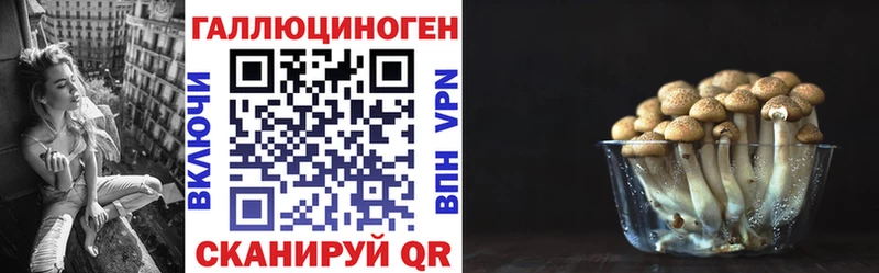 Галлюциногенные грибы прущие грибы  блэк спрут зеркало  Камешково 